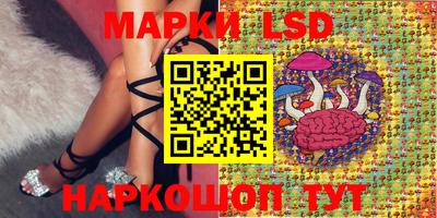тгк Волгодонск