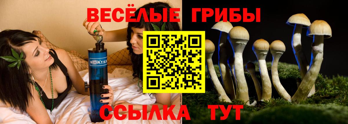 Надым  Псилоцибиновые грибы GOLDEN TEACHER  Вход с VPN 